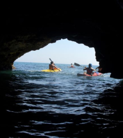 Agenzia/operatore Turistico Escursioni In Kayak